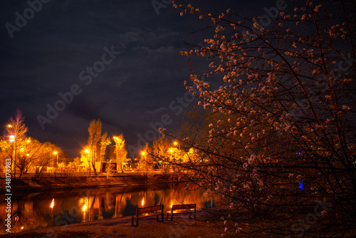in the evening, Park, trees are in bloom © Дмитрий Щербаков