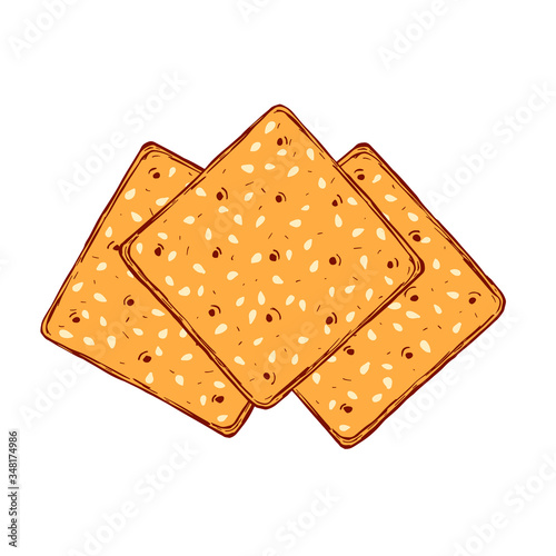Hand drawn crackers with sesame seeds. Buscuit sketch drawing.