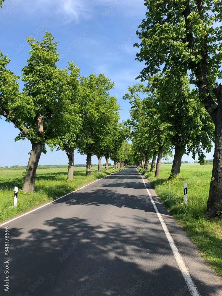 Road in Brandenburg