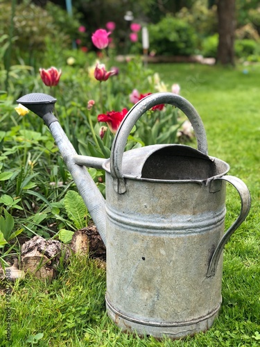 watering can in a garden