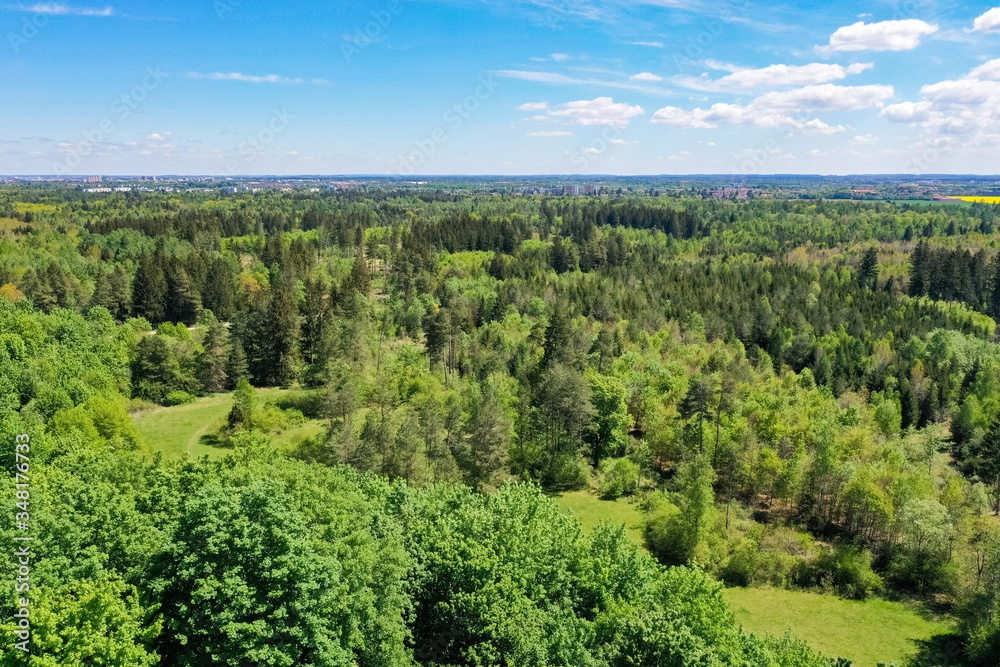 Obraz premium Aerial bird view from above the Perlacher Forst pine forest in Munich. Drone picture of the green spring forest in south Germany