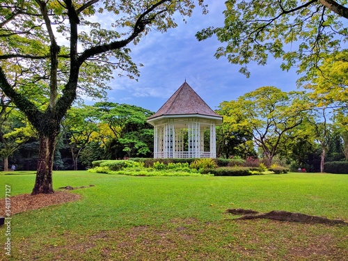 Canvas Print Singapore Botanic Garden