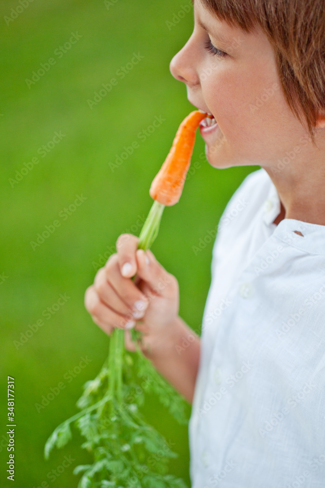 Child boy holding a carrot in his hands. Child and vegetables. Child boy holding a carrot in his hands. Child and vegetables.
