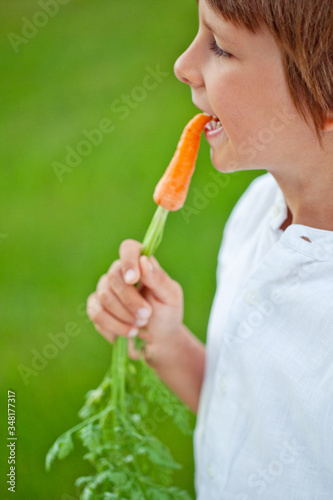 Child boy holding a carrot in his hands. Child and vegetables. 