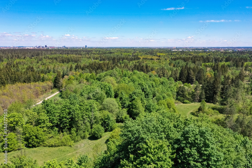Aerial drone shot from height at the Perlacher Forst, southern Germany near Munich in spring pine forest. Near the Alps