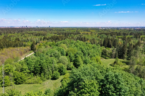 Aerial drone shot from height at the Perlacher Forst  southern Germany near Munich in spring pine forest. Near the Alps