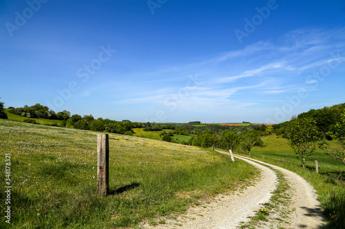 Fototapeta Naklejka Na Ścianę i Meble -  Spring landscape with green meadows and blue sky