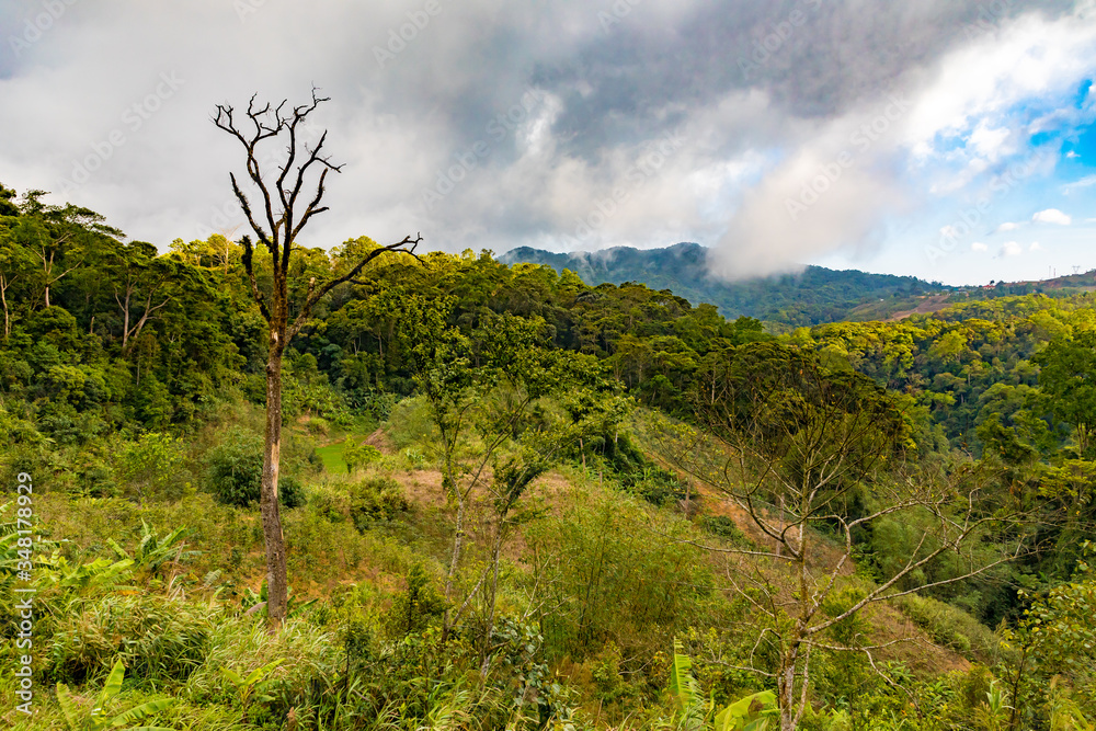 Mountains, hills  and jungle landscapes in Vietnam