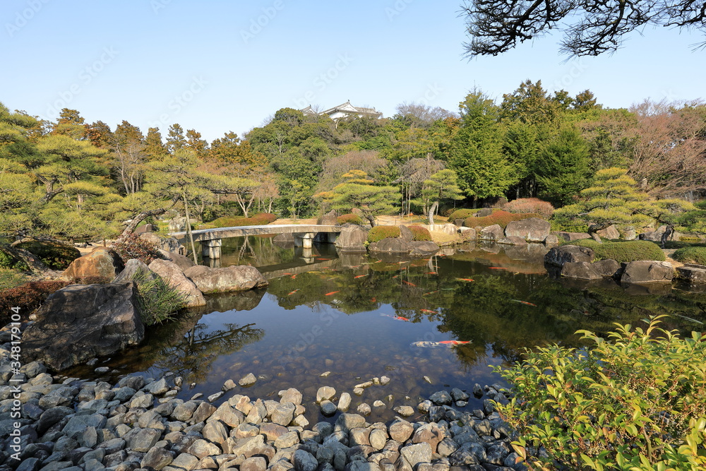 A traditional Japanese garden with colorful carps in a pond A traditional Japanese garden with colorful carps in a pond