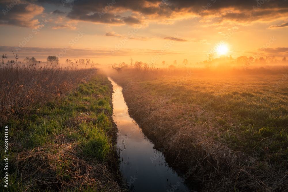 Foggy sunrise in the Jeziorka river valley near Piaseczno, Poland
