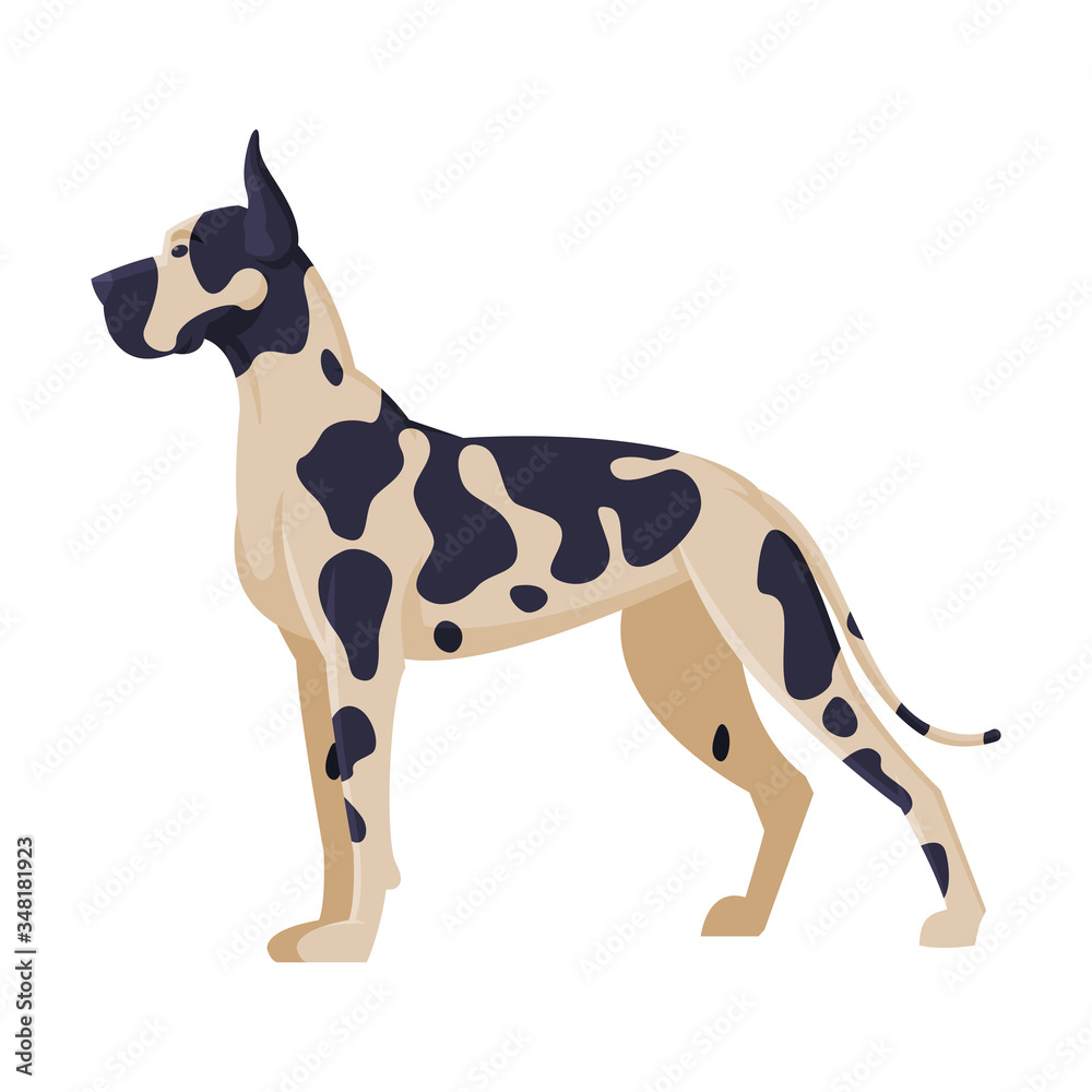 Dalmatian Purebred Dog, Pet Animal, Side View Vector Illustration