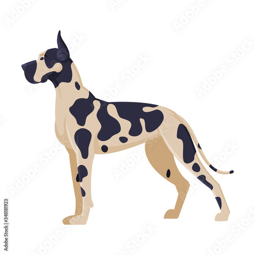 Dalmatian Purebred Dog  Pet Animal  Side View Vector Illustration