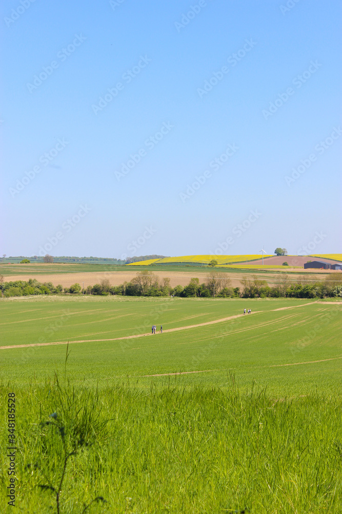 green field and blue sky in the Yorkshire countryside, England, Europe. The photo was taken on a beautiful spring sunny day on a gorgeous farm In Sheffield green field and blue sky in the Yorkshire countryside, England, Europe. The photo was taken on a beautiful spring sunny day on a gorgeous farm In Sheffield