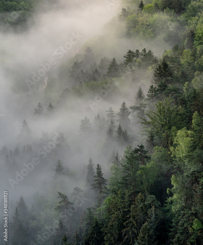 foggy moody morning in saxon switzerland, saxony, germany © Bastien