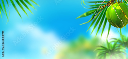 Tropical island paradise with coconut trees