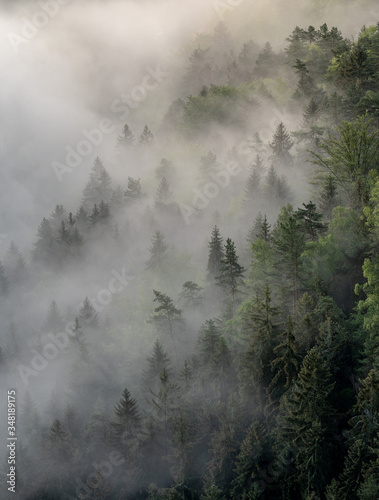 foggy moody morning in saxon switzerland, saxony, germany