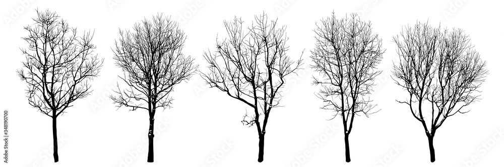 .Winter trees silhouettes collection. Set of isolated vector design elements..  Hand drawn  illustration in sketch style.  Nature template. Clipart.