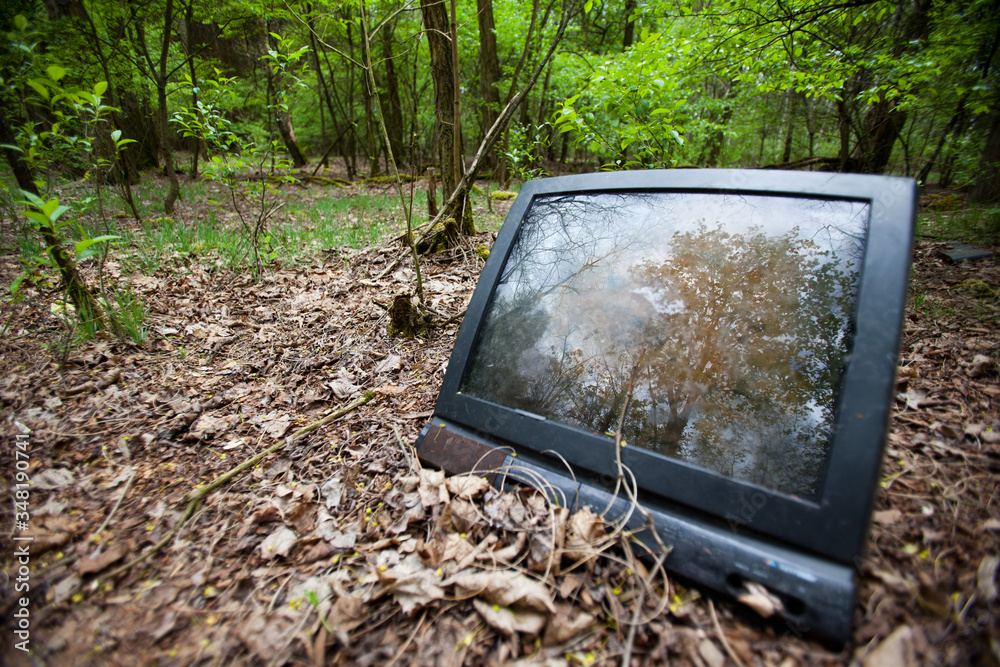 Fototapeta premium Stary telewizor wyrzucony w lesie.