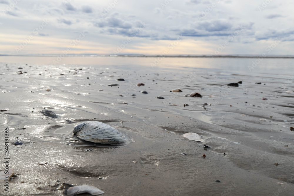 The harsh White sea. Cold summer day on Yagry island, Severodvinsk The harsh White sea. Cold summer day on Yagry island, Severodvinsk
