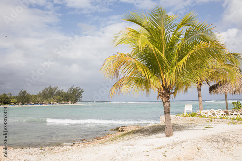 Fototapeta Naklejka Na Ścianę i Meble -  Jamaican beach with palm tree in Jamaica