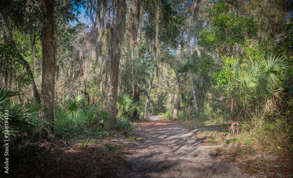 Obraz premium Winter Floridian Landscape