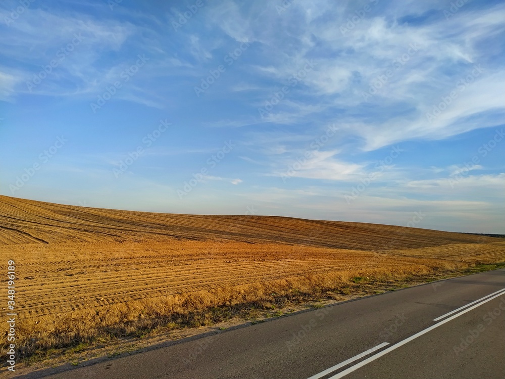 empty road against the background of a plowed field under a blue sky with light white clouds