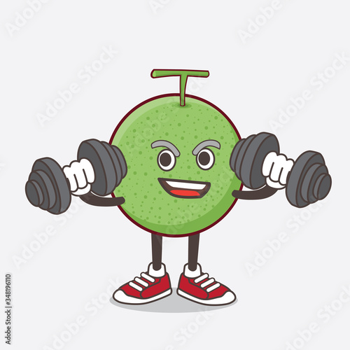 Melon Fruit cartoon mascot character on fitness exercise trying barbells