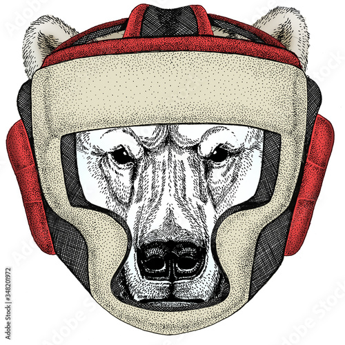 Polar bear portrait. Head of wild animal. Boxing helmet.
