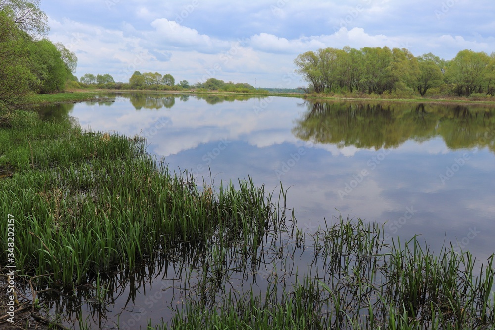 Obraz premium Beautiful river, trees, reflections in the homeland of Sergei Yesenin. Spring