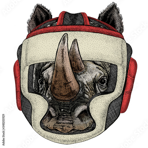 Rhinoceros, rhino portrait. Head of wild animal. Boxing helmet.