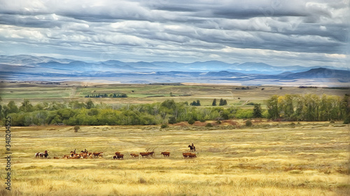 Cattle country Montana photo art