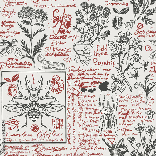 Vector seamless pattern with medicinal herbs and insects in retro style. Hand-drawn herbs, beetles, butterflies and unreadable scribbles on an old paper background. Wallpaper, wrapping paper, fabric