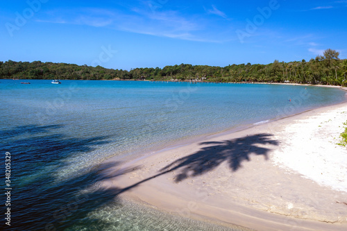 Palm tree silhouettes on tropical beach bay ocean resort on island Koh Kood, Thailand