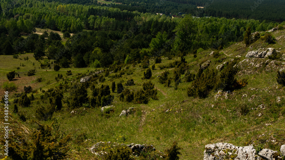Fototapeta premium View of the Sokolich Mountains Reserve and rock stones in Olsztyn. A free space for an inscription