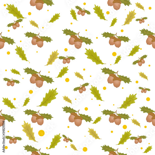 Seamless pattern with acorns and oak leaves on white background. Vector hand drawn illustration.