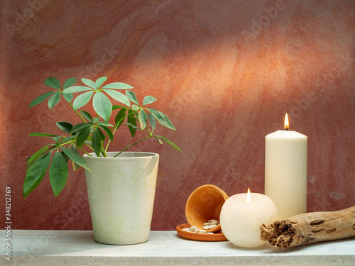 Room decoration with candles and schefflera plant on white shelf against old brick color wall.