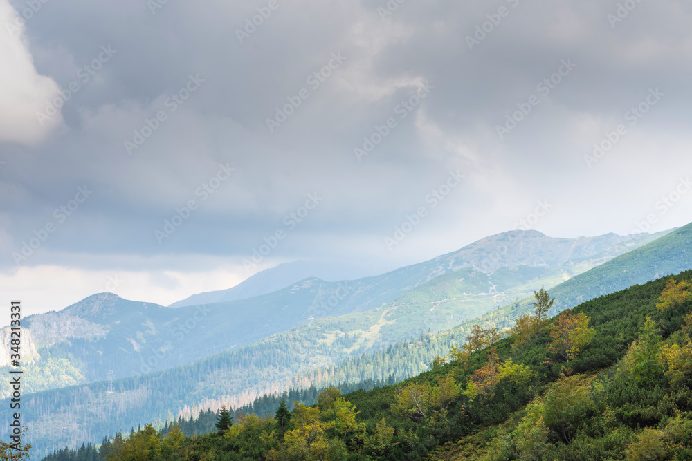 Fototapeta premium Tatras Mountains covered by green pine forests, Poland