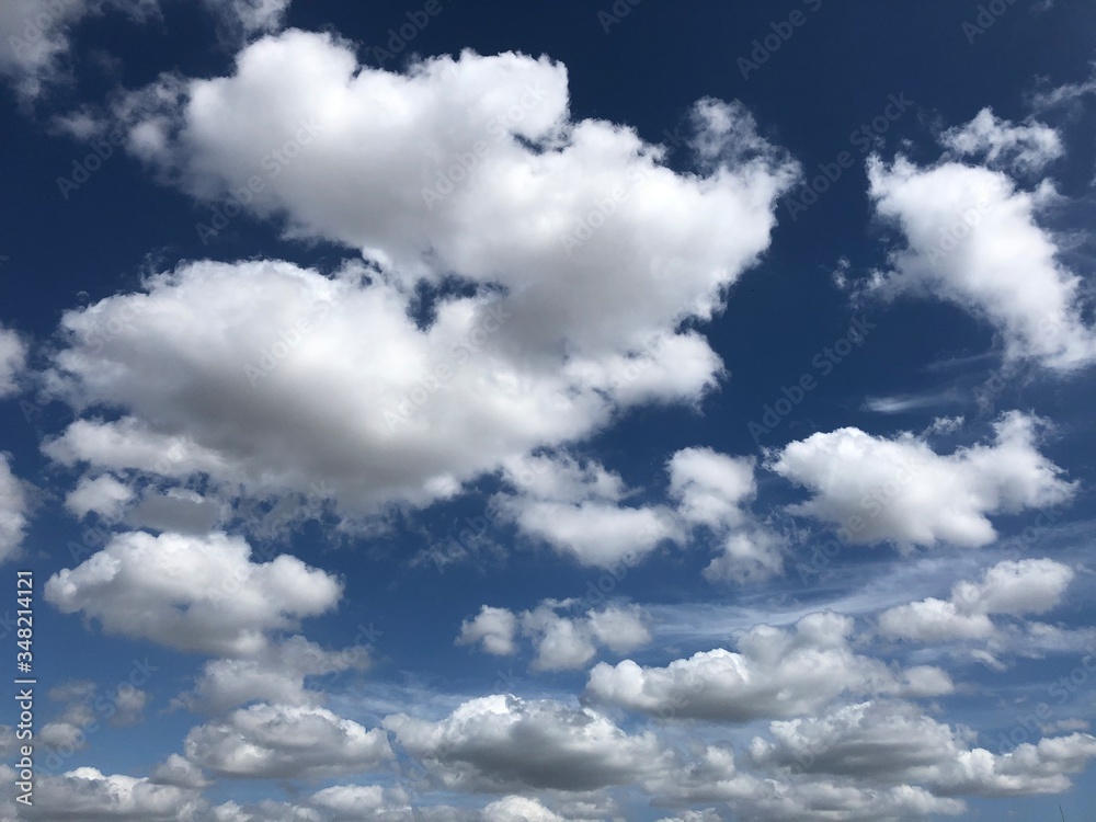 Naklejka premium dreaming freedom in the sky