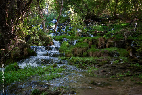 Fotografija Riparian zone in Rifle Falls