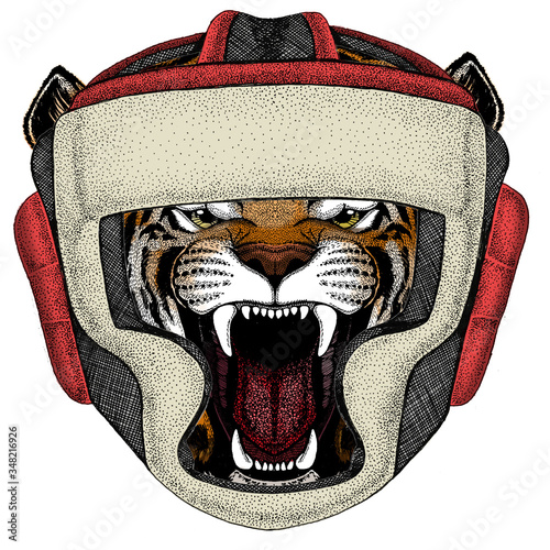 Tiger portrait. Wild cat head. Boxing helmet.