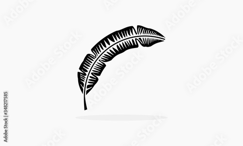 banana leaf vector concept design logo