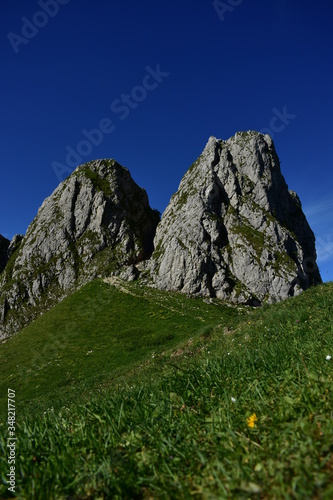 spring mountain landscape with green grass at high altitude