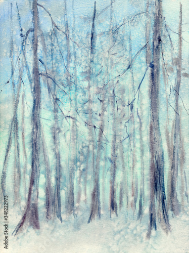 Watercolor: Snowfall in the old forest