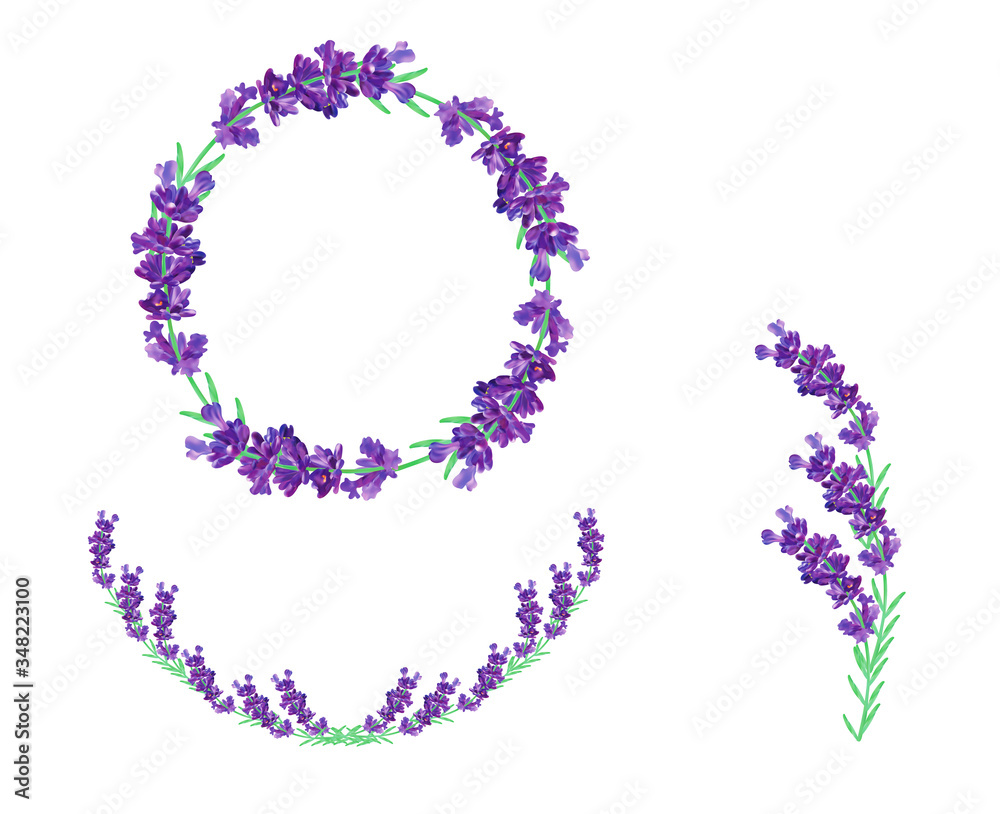 Collection lavender wreath isolated on transparent background. Bunch violet flowers.3D realistic lavender with copy space for your text. Fragrant lavender. Beautiful illustration