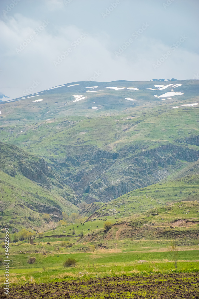 Obraz premium nature