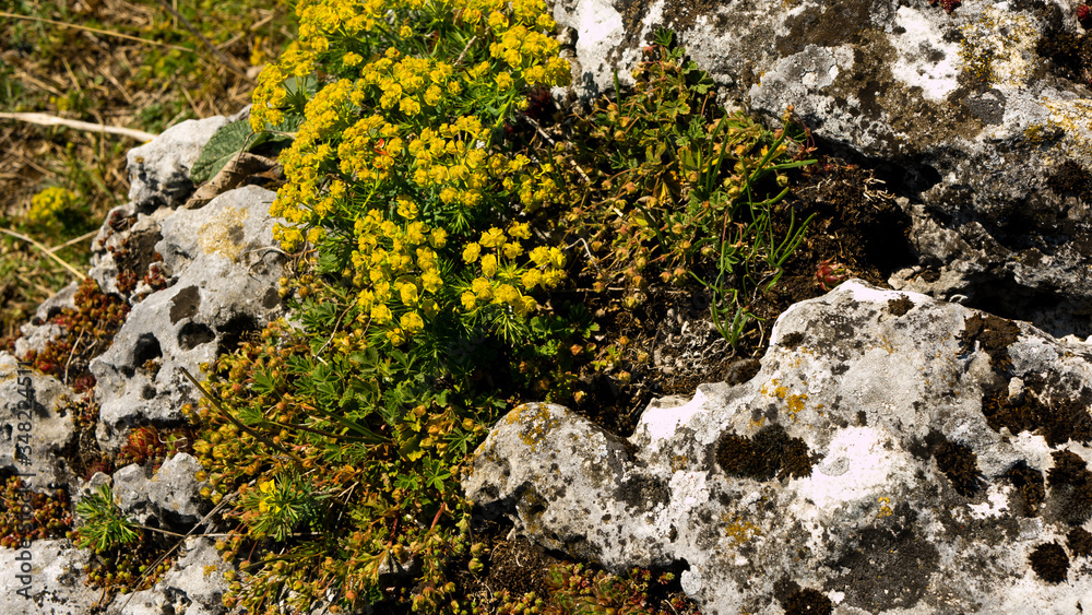 View of the Sokolich Mountains Reserve and rock stones in Olsztyn. A free space for an inscription