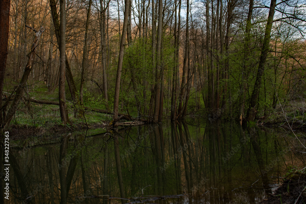 Beautiful dark dam on a small river in the deep woods Beautiful dark dam on a small river in the deep woods