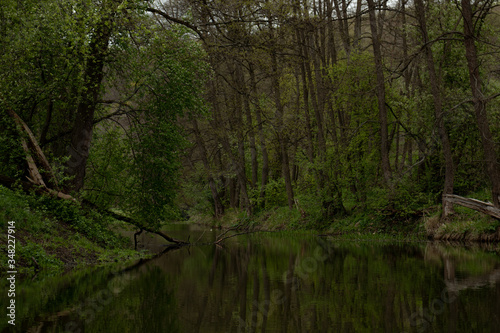 A small beautiful river among trees with quiet creeks in the spring.