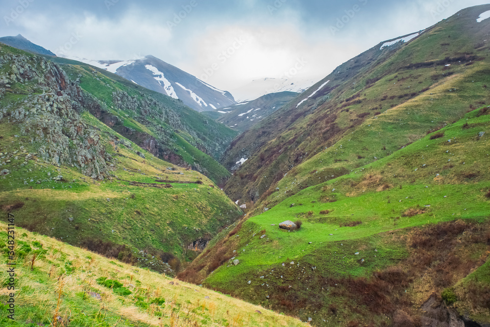 Fototapeta premium nature