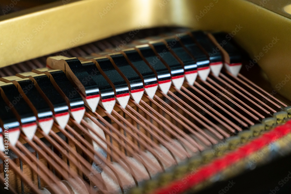 Grand Piano - Piano action, dampers, strings and hammers Grand Piano - Piano action, dampers, strings and hammers